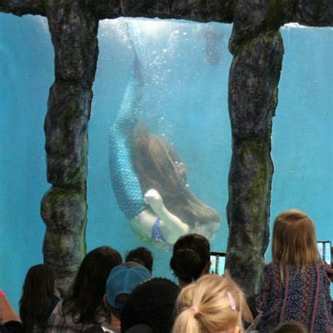 Blue Zoo Aquarium at the Mall of Louisiana - Louis Mechanical Contractors