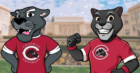 Chapman Family Invited to Vote for New Pete the Panther Logo | Chapman ...