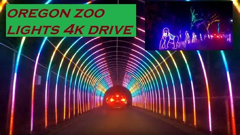 Oregon Zoo Lights 4k Drive Tour | Portland, Oregon - YouTube