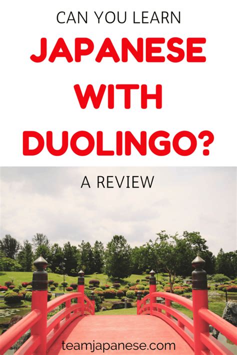 Duolingo Japanese Review - Team Japanese