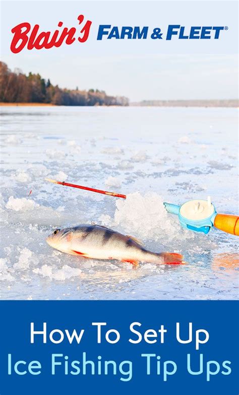 How to Set Up Ice Fishing Tip Ups | Blain's Farm & Fleet Blog | Ice fishing tips, Ice fishing ...