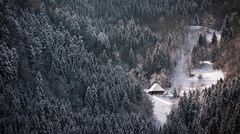 Pin by Kathleen Collins on Winter Season/ Christmas | Black forest germany, Black forest, Most ...