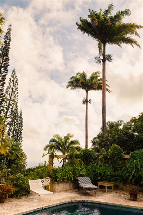 An insider's guide to Nevis, one of the Caribbean's glitziest island ...