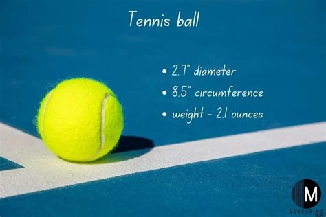 What Is the Circumference of a Tennis Ball in Cm