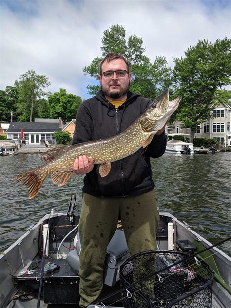 First decent pike of the season for me : r/Fishing