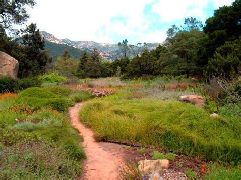 Santa Barbara Botanic Garden - Santa Barbara, California | park ...