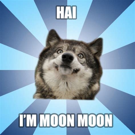 Hai Moon Moon | Moon moon memes, Memes, Funny wolf