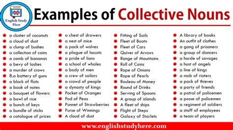 Examples of Collective Nouns English Grammar Notes, English Words, English Language, Second ...