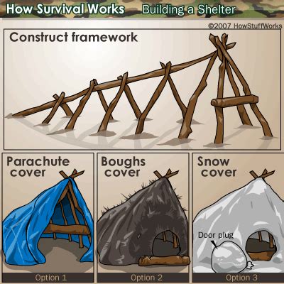 Survival Shelter, Wilderness Survival, Camping Survival, Outdoor ...