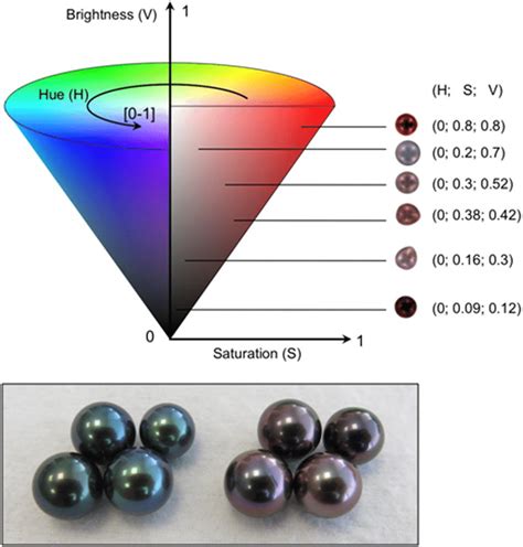 The Hue Saturation Value (HSV) colour code system used to quantify... | Download Scientific Diagram