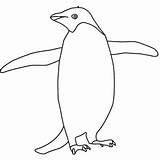 Adelie Penguin Coloring Page Az Pages Sketch sketch template