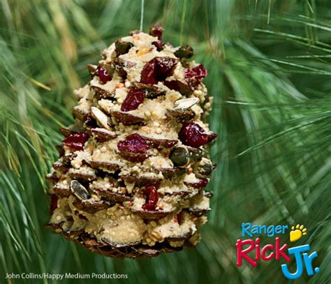 Pine-Cone Bird Feeder - NWF | Ranger Rick