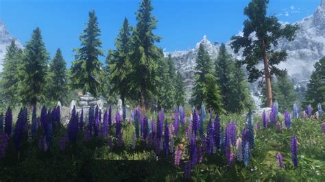 Skyrim Flora Overhaul モデル・テクスチャ - Skyrim Mod データベース MOD紹介・まとめサイト