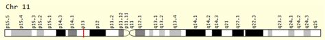 CD59 Gene - GeneCards | CD59 Protein | CD59 Antibody