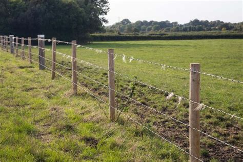 Cost to build barbed wire fence - kobo building