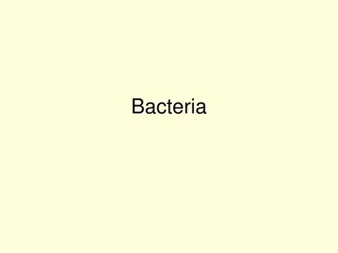 PPT - Bacteria PowerPoint Presentation, free download - ID:728448