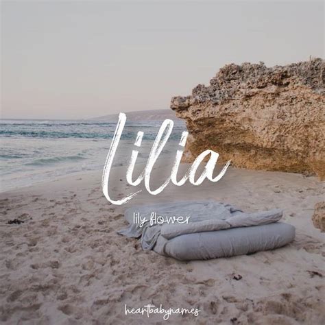 Lilia ☼ Name Consultant & Therapist on Instagram: "• L I L I A • 𝙋𝙧𝙤𝙣𝙪𝙣𝙘𝙞𝙖𝙩𝙞𝙤𝙣: lily-ah / lil-ee ...