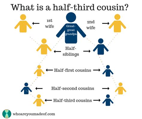 What is a Half-Cousin? - Who are You Made Of?