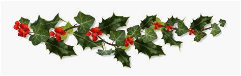 Holly Border Png Clip Art Transparent Stock - Border Holly Png , Free ...