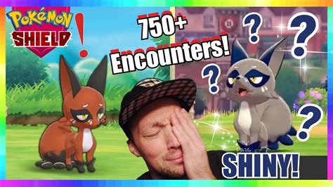 750+ NICKIT ENCOUNTERS - EXTREME SHINY NICKIT HUNTING in POKEMON SWORD & SHIELD - YouTube