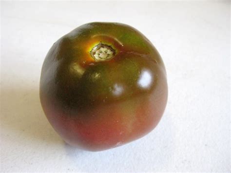 Tomato 'Black Prince' Seeds (Certified Organic) | Garden Hoard ...