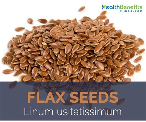 Flax seed facts and health benefits