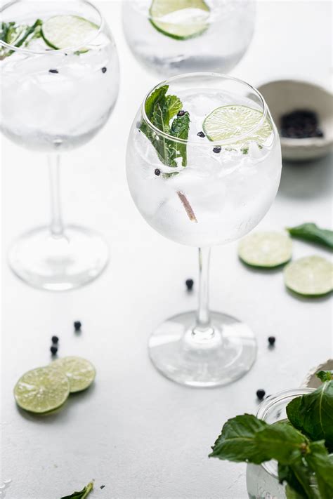 Gin And Tonic Recipe Variations | Bryont Blog