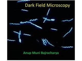 Dark field microscopy | PPT