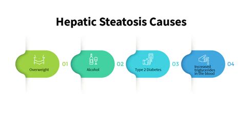 What Is Hepatic Steatosis - Causes, Diagnosis, Treatment - AQMDI