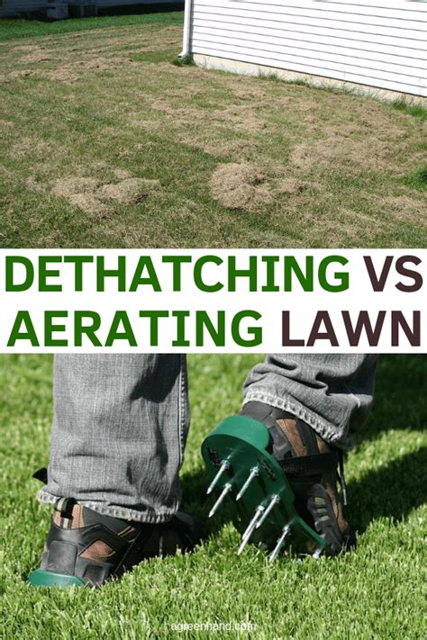 What is the difference between dethatching and aerating lawn? #dethatch #aeration #lawncare # ...