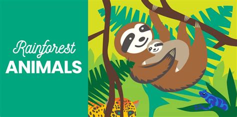 40 Rainforest Animals - Birds, Mammals, and More from Little Passports