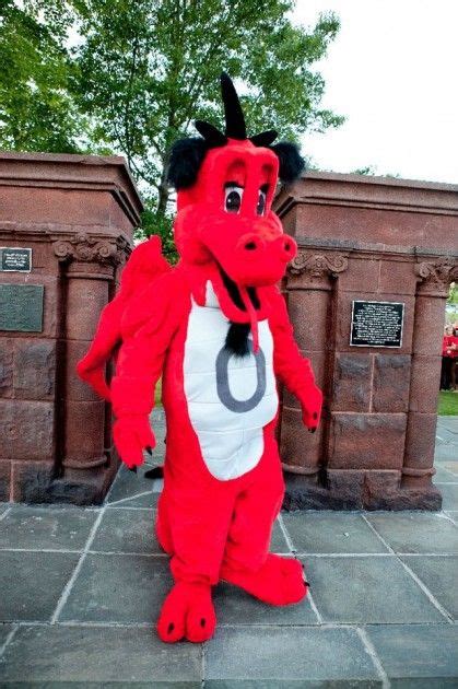 Vote for Oneonta Against Canton in Round 2 of SUNY Mascot Madness | Oneonta, Mascot, Red dragon