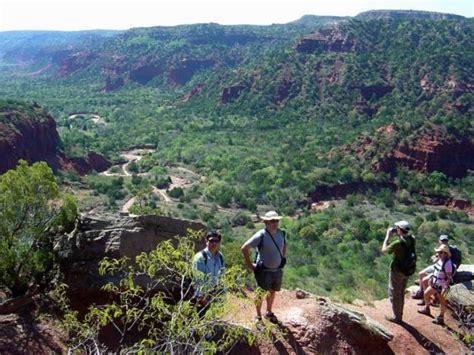 8 of the Best Austin Hiking Trails, TX, SA - Flavorverse