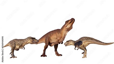 Albertosaurus PNG. Dinosaur Albertosaurus on a blank PNG high resolution background. Stock ...