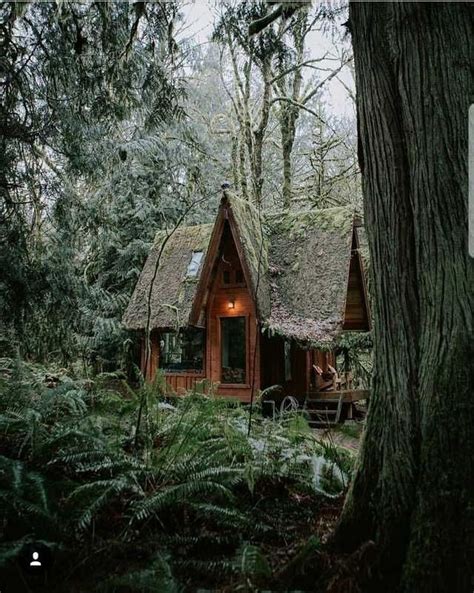 Imgur | Forest cottage, Cottage in the woods, House in the woods