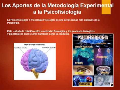 VIDEO EL MÉTODO EXPERIMENTAL EN LA PSICOLOGIA - YouTube