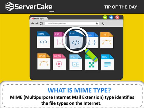 What is MIME Type? - ServerCake