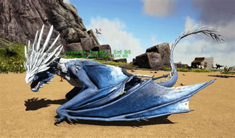 I finally hatched a wyvern egg! : r/ARK