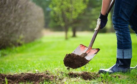 Homeowners Guide to Safe Digging