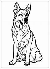 German Shepherd Coloring Pages  Free Printable Dog Sheets For sketch template