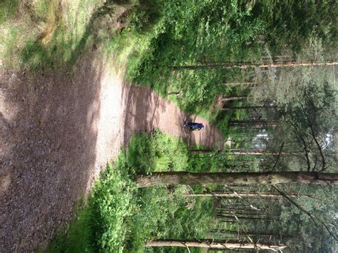 Travel: 6 outdoor activities for toddlers at Center Parcs Whinfell Forest - There We Go