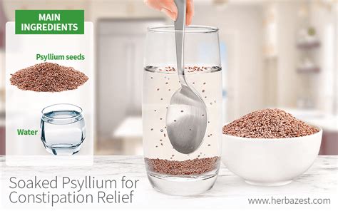 Soaked Psyllium for Constipation Relief | HerbaZest