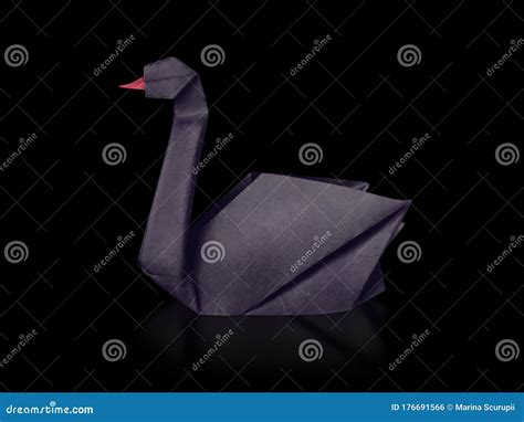 Origami Paper Rare Event Black Swan on a Black Stock Photo - Image of ...