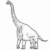 Brachiosaurus Dinosaur Coloring Pages  Mewarnai Alat Komunikasi sketch template