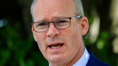 Irish Times poll: Fine Gael will not be too despondent, says Coveney ...