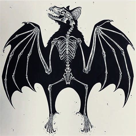 amandamalefica: “ #bats #anatomy #skeleton #horror #gothic #goth #spooky #scary #scarystories # ...