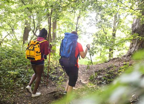 Hiking for Beginners: 21 Tips To Get Started in 2023