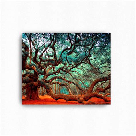 Canvas Wall Art Nature, Angel Oak Tree, Charleston SC, Large Canvas, Angel Oak Photography ...