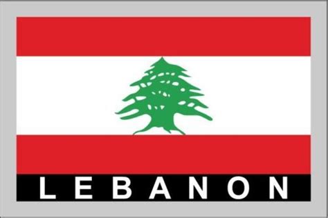 Lebanon Temporary Body Face Country Flag Tattoo Sticker Water Transfer ...