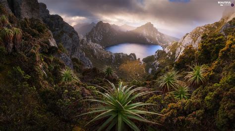 Mountains, Tasmania, Lake Oberon, Southwest National Park, Australia ...